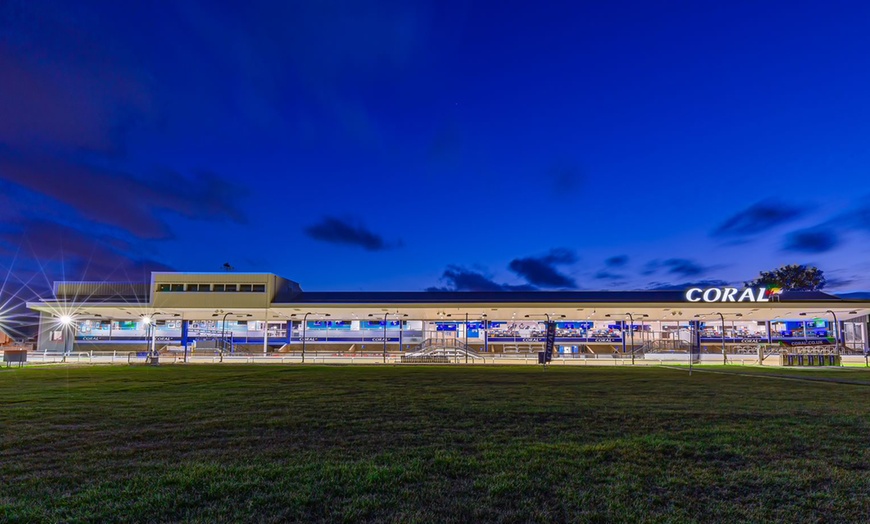 Image 4: Greyhound Racing with Meal and Drink, July - September Dates