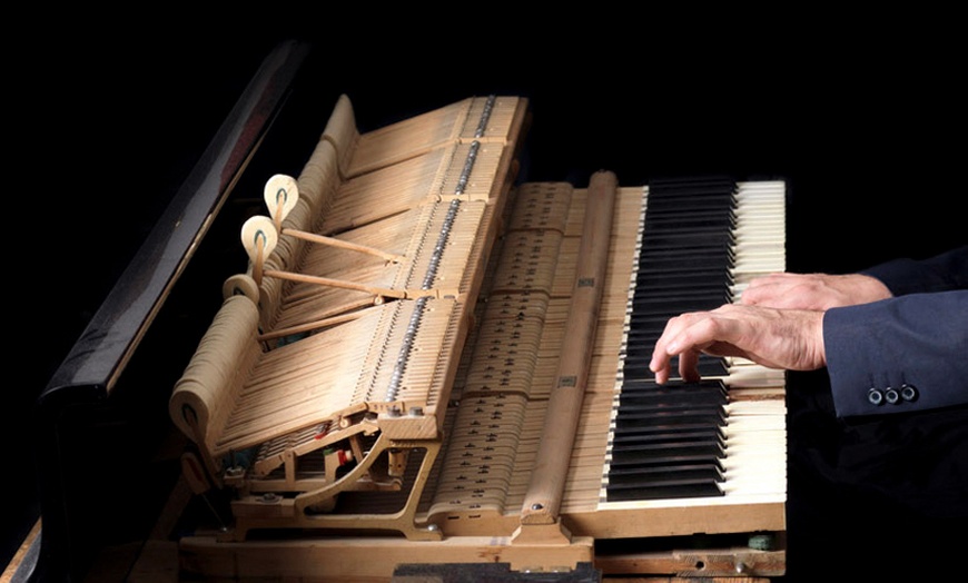 Image 3: Valentine's Day Piano Recital including Beethoven's Moonlight Sonata 