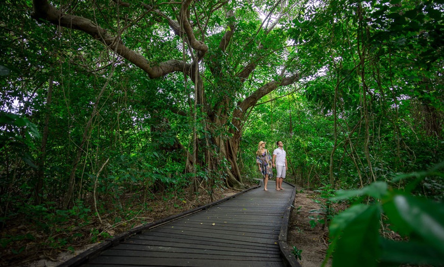 Image 6: Cairns & Green Island: 4 Nights of Sun, Sea, and Snorkeling