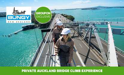 Private Auckland Bridge Climb