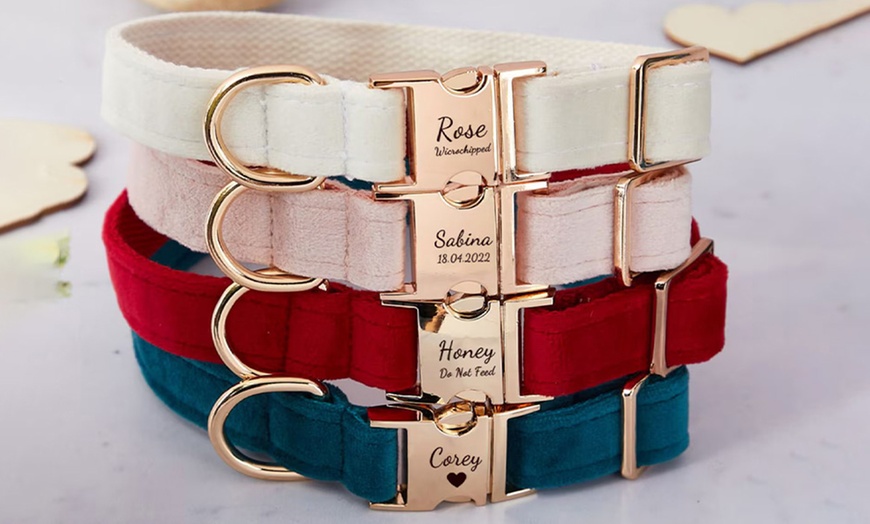 Image 1: One or Two Custom Pet Collars from Justyling