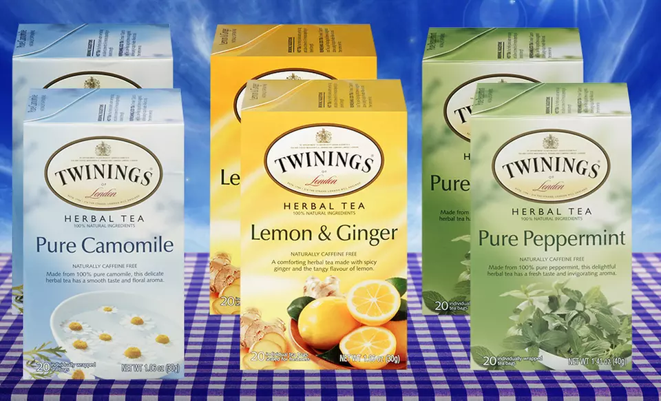 120 Bags of Twinings Bagged Tea with Camomile, Lemon and Ginger, and Peppermint Flavors - Primary Image