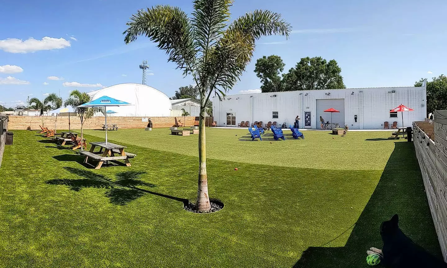 Dog Park Passes and Beer at Two Shepherds Taproom (Up to 48% Off). Eight Options Available. - Primary Image