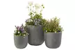3 pots de fleurs de dimensions différentes, livraison offerte - Second Medium