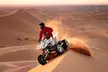 Enjoy a VIP Desert Safari For One, Two or Four Person with Dune Bashing and More at Luxury Tours (Up to 68% Off) - Image 2