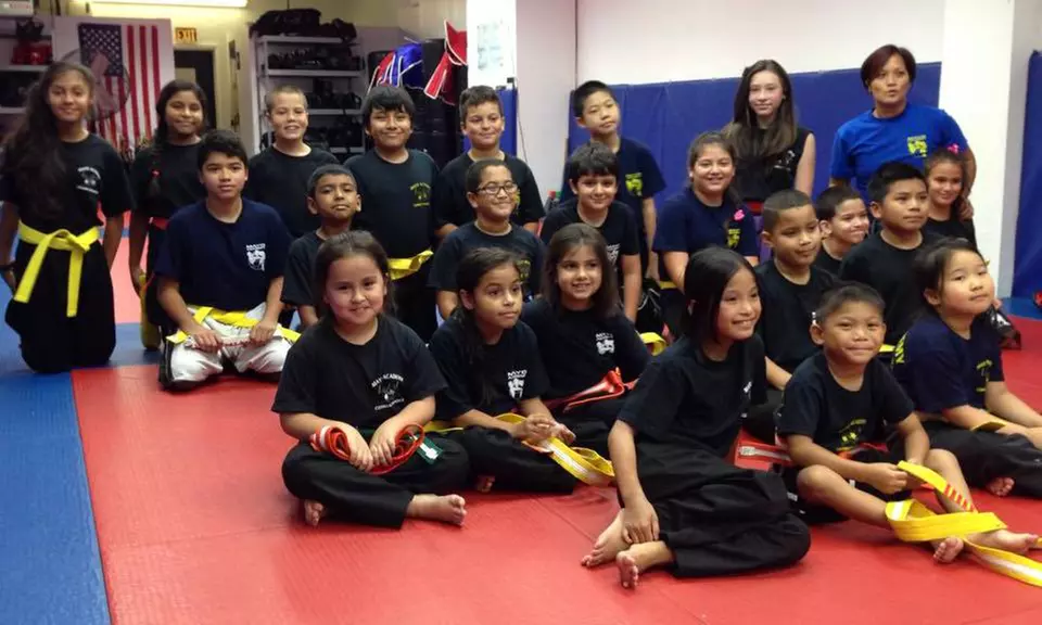 15 Martial Arts Classes at Mayo KickBoxing & MMA (57% Off) - Primary Image
