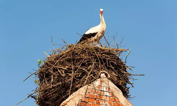 Brandenburg: Doppelzimmer mit Frühstück & optionalem Thermen-Eintritt