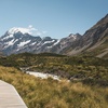 Image 7: ✈ New Zealand: 4 Nights with Flights, Choice of Hotel Stay, & Car Hire
