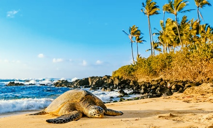 Sights & Bites for 1 - Sights and Bites Circle Island Tour