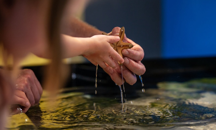 Image 1: Blue Zoo Aquarium Experience – Oklahoma City