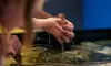 Up to 6% Off on Aquarium Admission with Interactive Exhibits at Blue Zoo – Oklahoma City – Hands-On Family Fun
