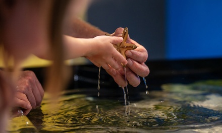 Admission for 1 Child (ages 3-12) - Blue Zoo - Oklahoma City