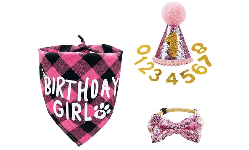 Image 5: Dog Birthday Bandana Scarf and Hat with Numbers