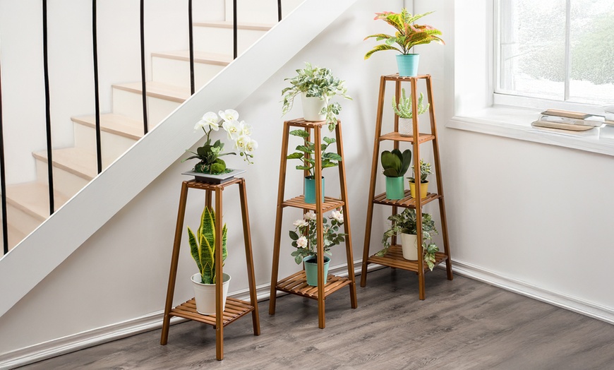 Image 1: Brown Multi-Tier Wooden Plant Stand