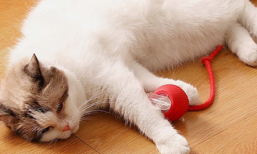 Image 9: Interactive Electric Cat Rolling Ball Toy