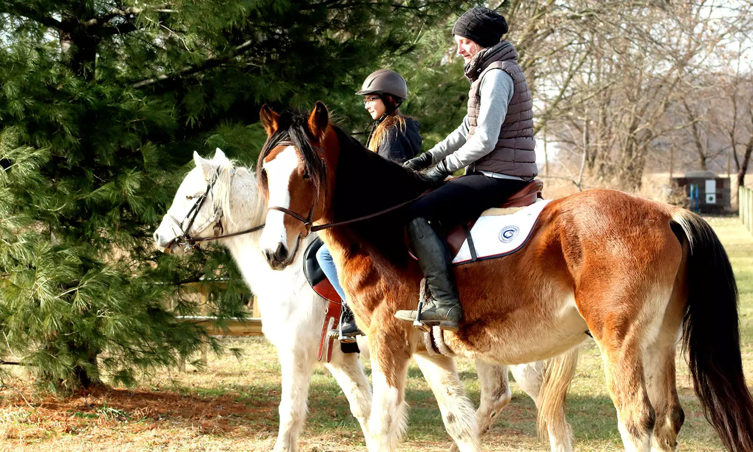 Private Riding Lesson for One or Riding Lesson for Two or Four at Savage Riding Academy (Up to 29% Off) - Primary Image