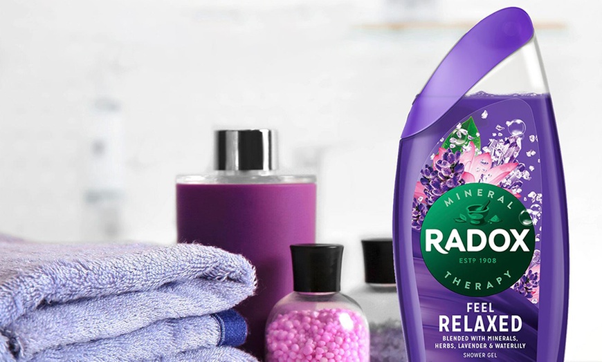 Image 3: One or Six Packs of Radox Shower Gel 250ml