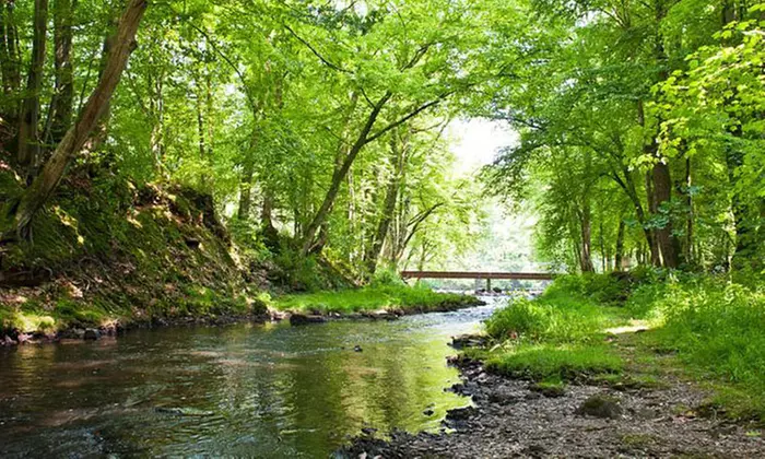 Picardie, Hirson : cottage 2 ou 3 chambres avec accès parc aquatique