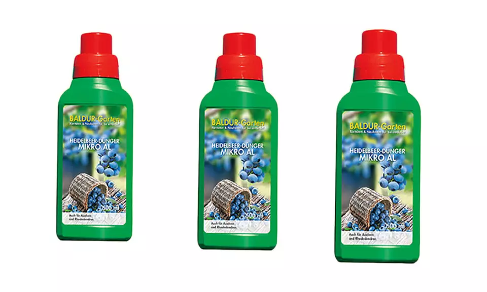 Heidelbeere Reka & Blue + 1x Dünger "Mikro Al" 500 ml - Second Medium