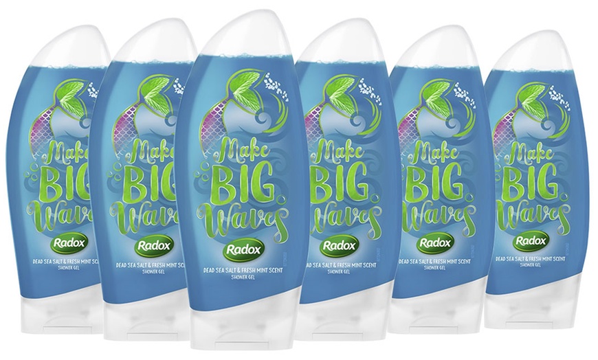 Image 11: Radox Shower Gel Six-Pack