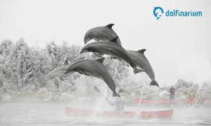 Entreeticket Dolfinarium 