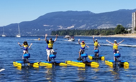 25% off - 1 Hour Hydrobike Water Bike Ride 1 Person - BC Water Bikes
