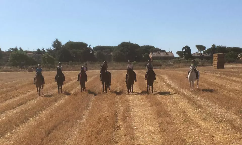 4 lezioni equitazione