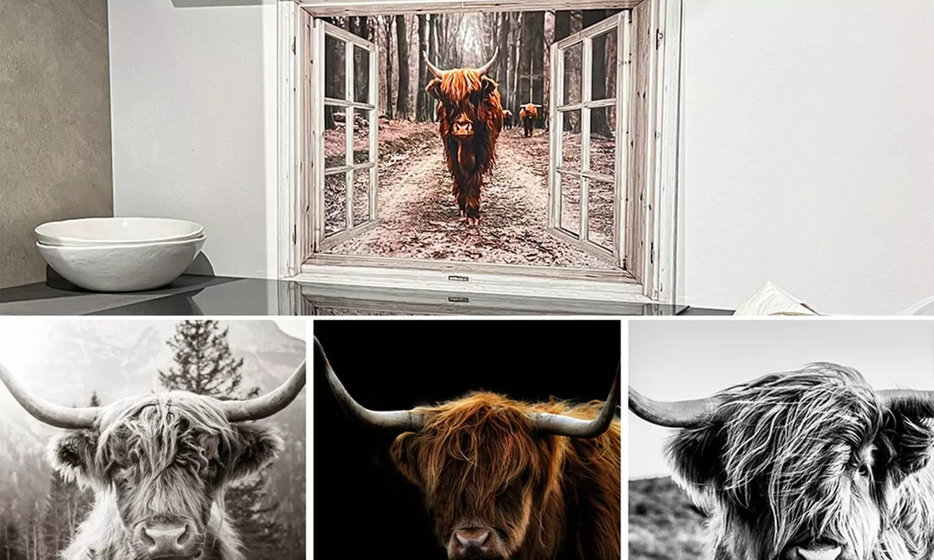 Protection en aluminium pour la cuisine avec CanvasCompany