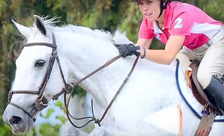 $99 for Four 60-Minute Private Horse-Riding Lessons at Foxtail Farms in Wilton ($220 Value) - Primary Image