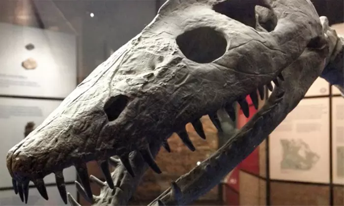 Escape Room and Museum Admission for Two or Three People at Canadian Fossil Discovery Centre (Up to 41% Off) - Primary Image