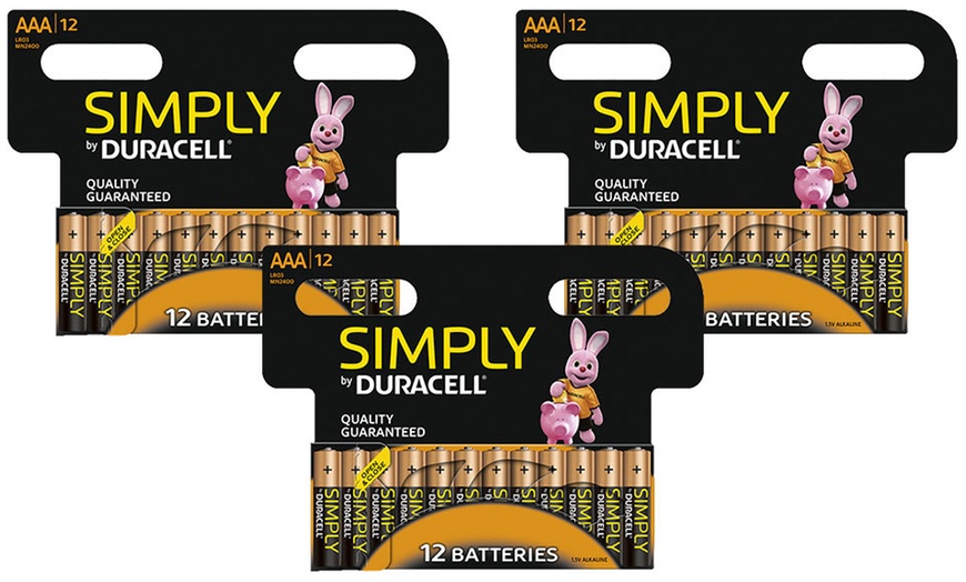 Image 8: Set van 12, 24 of 36 Duracell AA- of AAA-batterijen