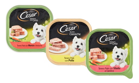 10 o 20 scatolette per cani Cesar Ricette Classiche, disponibili in 3 gusti