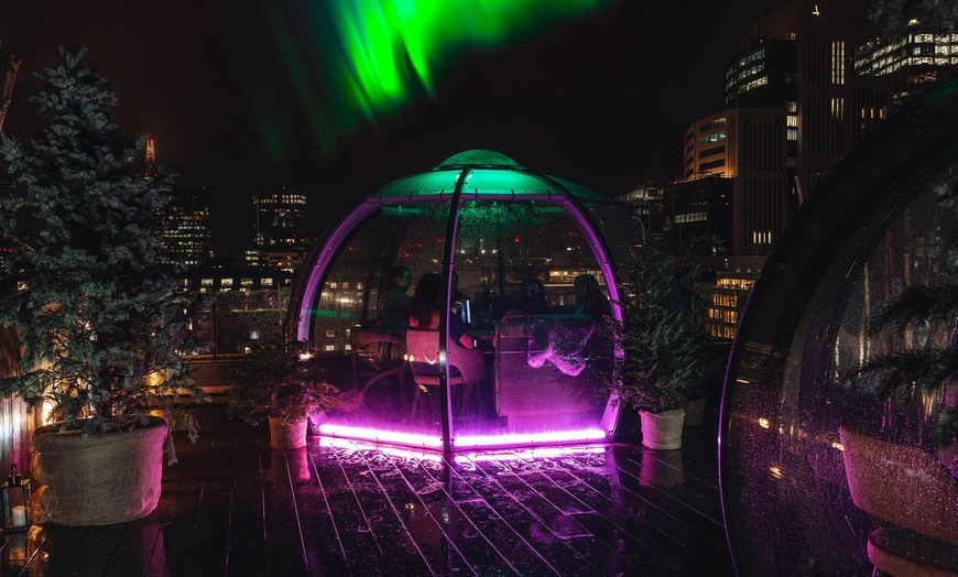 Image 8: Magical Nordic Nights Igloos | Aviary Rooftop Restaurant