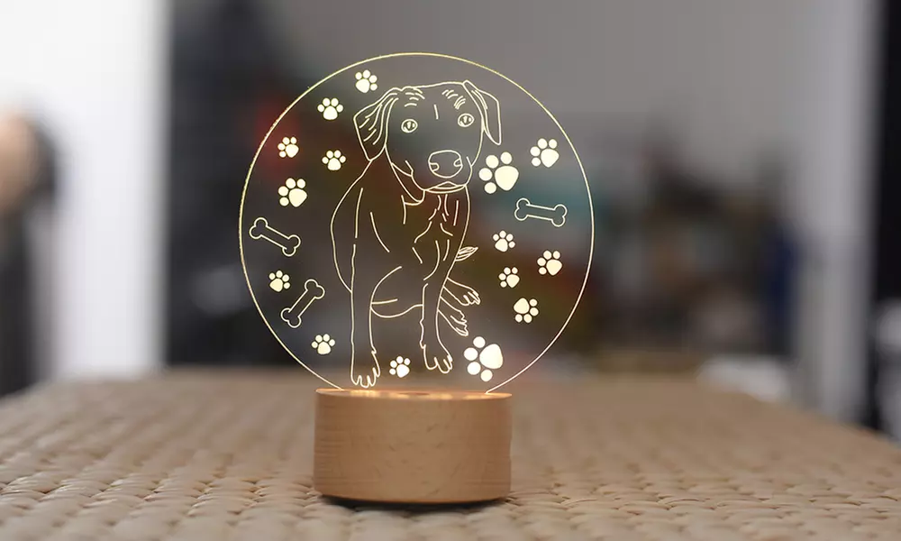 Foto-Nachtlicht vom Haustier