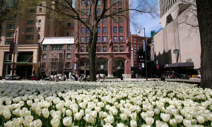 Individual or Family Memberships to Loyola University Museum of Art (Up to 48% Off) - Second Medium