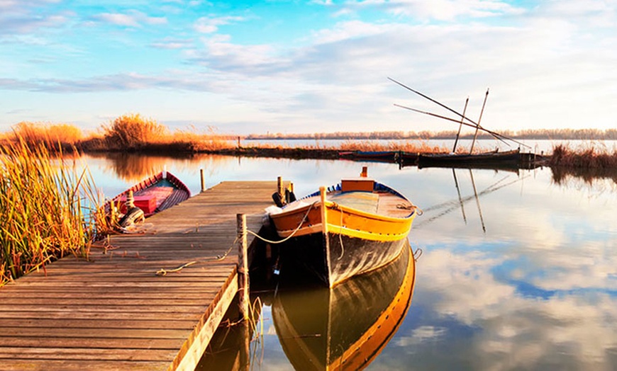 Image 8: Disfruta un menú de arroz con paseo en barca opcional en la Albufera