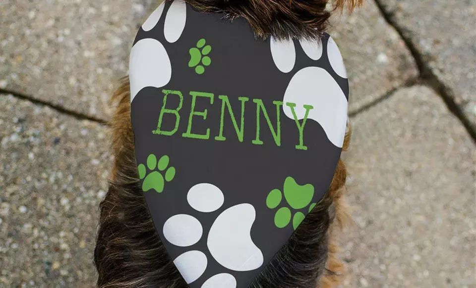 Personalized Dog Bandanas for Every Occasion