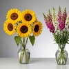 Image 1: Rose Farmers Farm-Fresh Sunflowers, Snapdragons, & Chrysanthemums (Up to 57% Off)