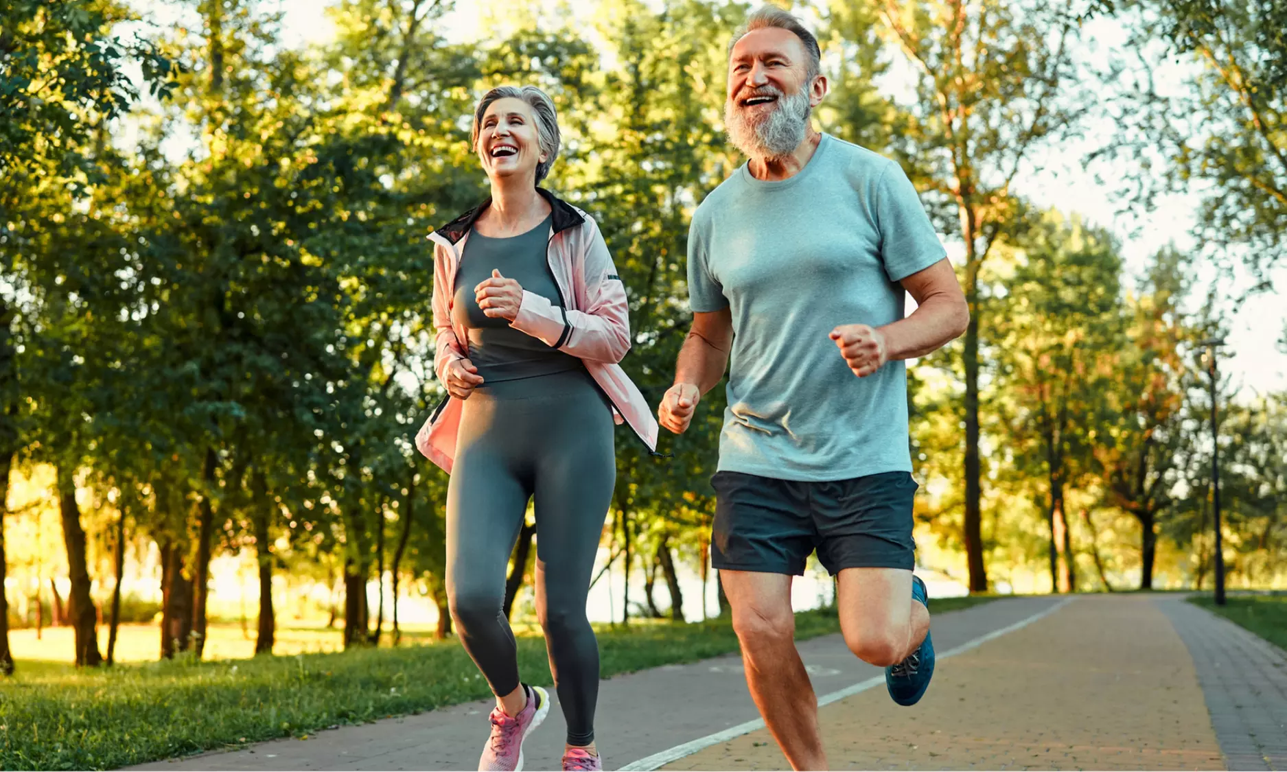 Get a In-person Weight Loss Consultation, 1 or 3 Body Composition Scan