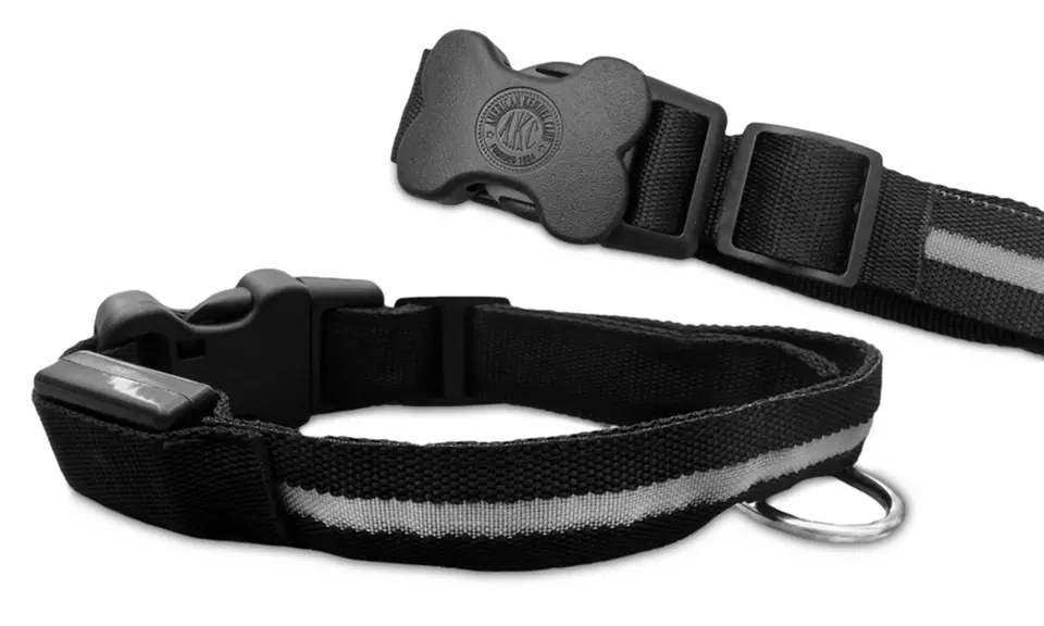 AKC Adjustable LED Dog Collar - Second Medium