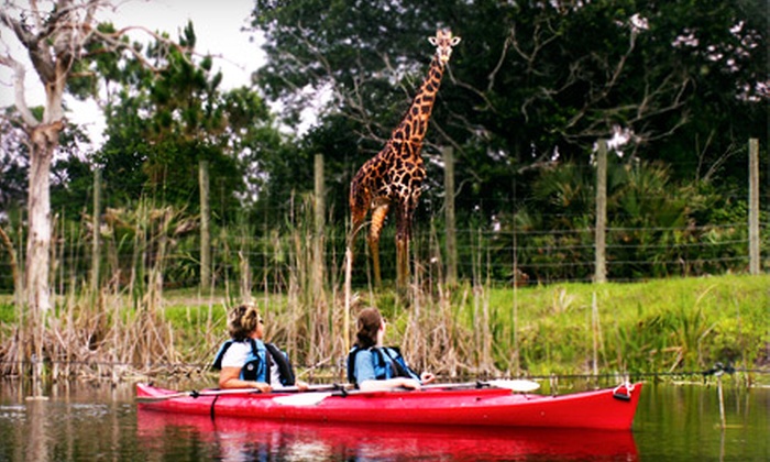 Up to Half Off Brevard Zoo Membership in Melbourne - Brevard Zoo | Groupon