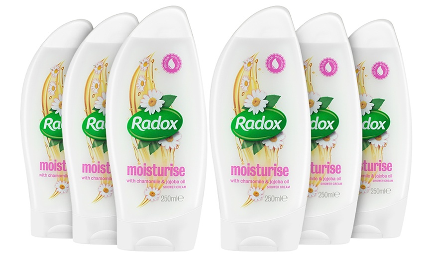 Image 14: Radox Shower Gels 250ml