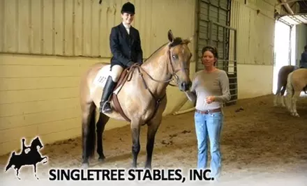 $12 for One-Hour Group Horsemanship Lesson and Ride at Singletree Stables ($25 Value) - Primary Image