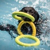 Image 2: Water Fun Awaits: Doggy Fun Swim Session (Owners Welcome to Swim Too)