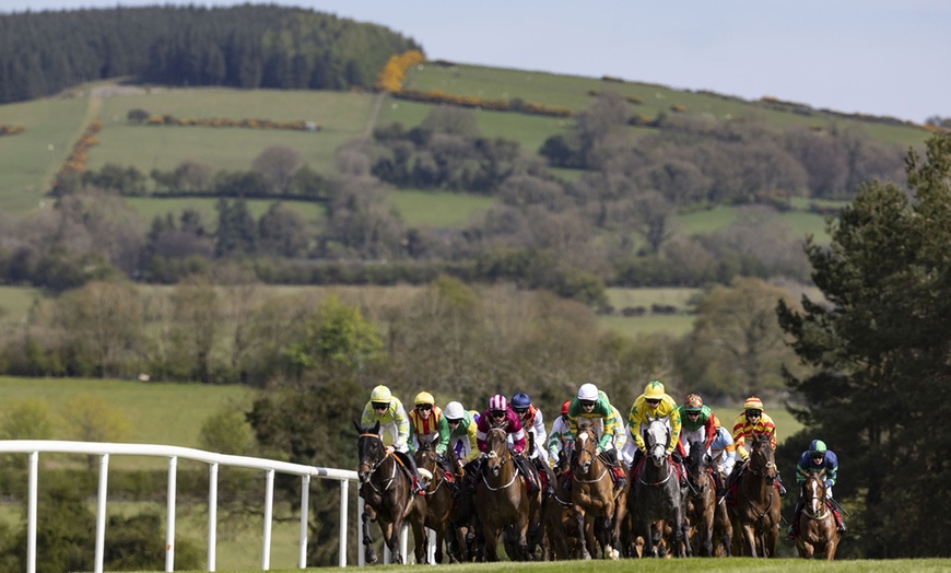 Image 10: Grade 1 Races & Live Entertainment with Punchestown Flexi Ticket 