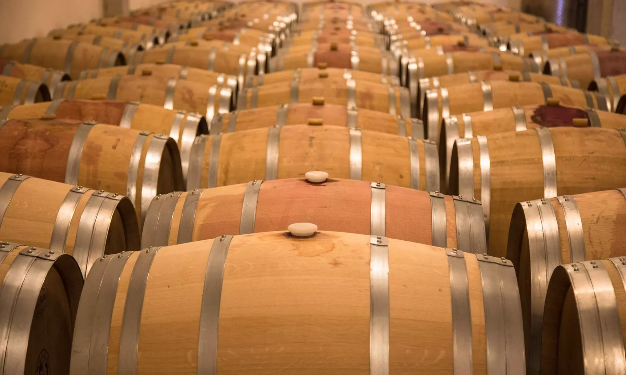 Visita guiada y cata de vinos para 2 o 4 personas