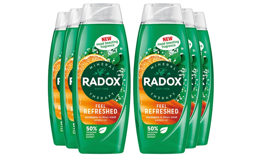 Image 8: Up to 12 Radox Shower Gels 450ml