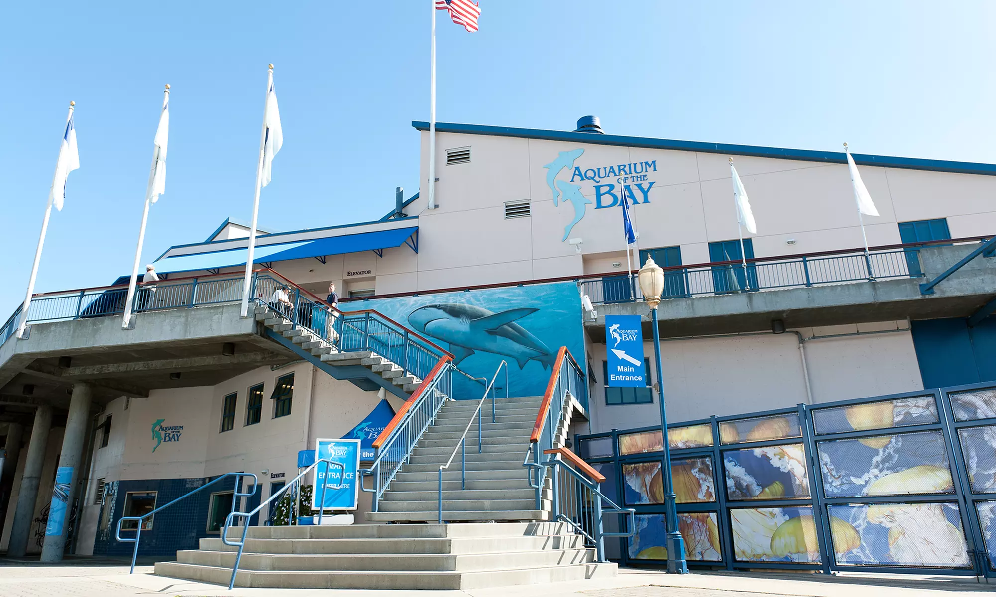 $26.95 for Admission for One Adult to Aquarium of the Bay - Primary Image