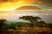 Kenya Safari with Optional Zanzibar Trip. Price is per Person, Based on Two Guests per Room. Buy One Voucher per Person. - Second Medium