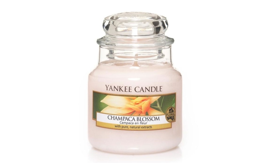 Image 6: Bougies parfumées Yankee Candle